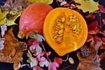hokkaido, pumpkin, squash