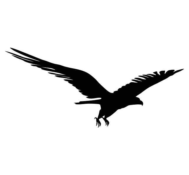 Free eagle bird symbol illustration