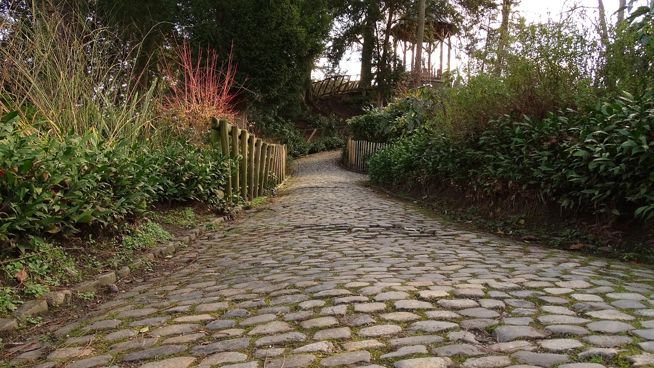 Free Path Cobblestone photo and picture