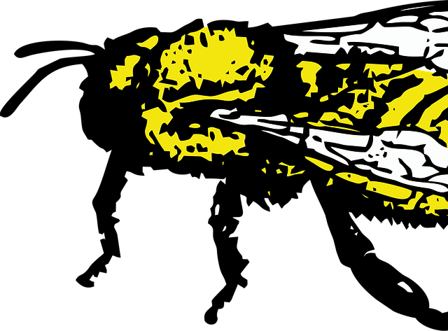 Free honey bee insect bee illustration