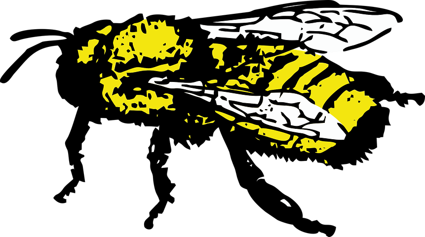 Over 200 Free Bee Vectors - Pixabay - Pixabay