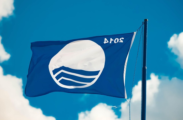 Free Bathing Area Blue Flag photo and picture