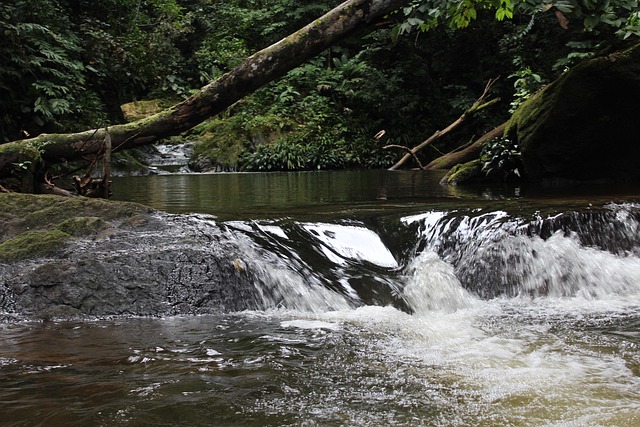 Free Rios Waterfall photo and picture