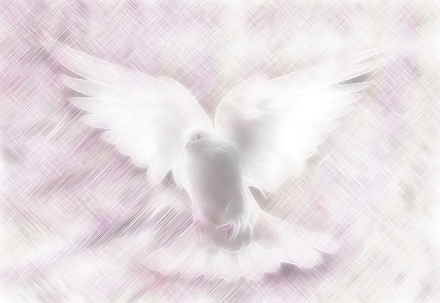 Free dove stationary background illustration