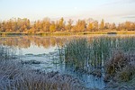 river, the first, siberia