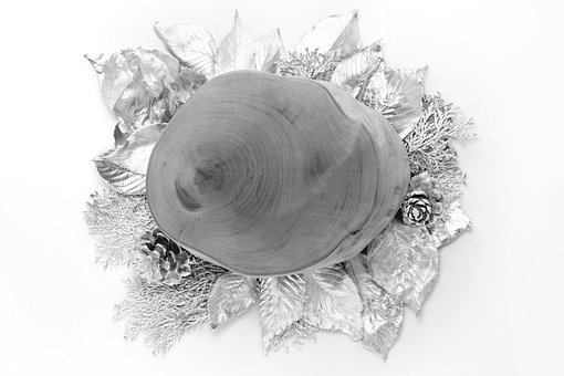 Free Winter Christmas photo and picture