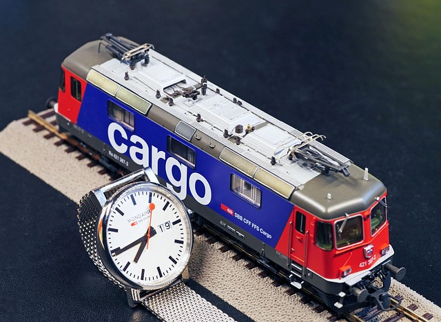 Free Wrist Watch Sbb photo and picture