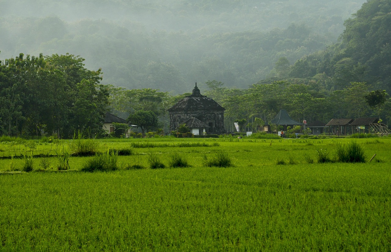 Landscape Nature - free online jigsaw puzzle photo