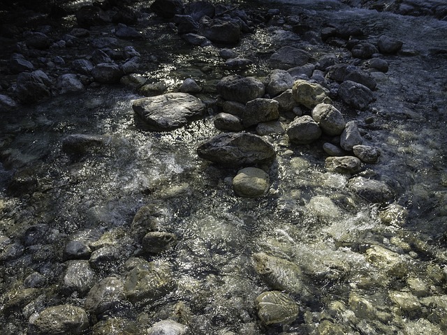 Free Water Nature photo and picture