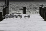 all saints, cold, winter