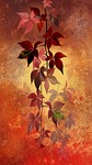 nature, time of year, autumn