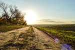 primer, sunset, road