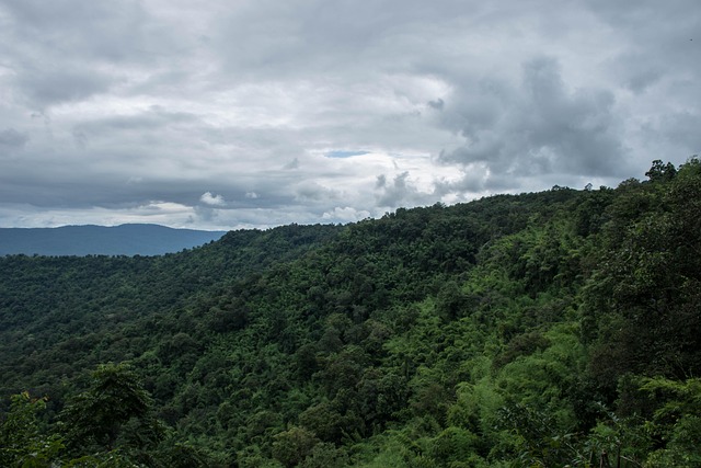 Free View Nature photo and picture