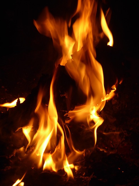 Free Fire Flames photo and picture