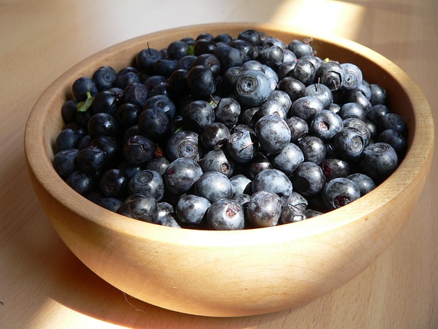 Blaubeeren, Lila, Natur, Waldfrucht