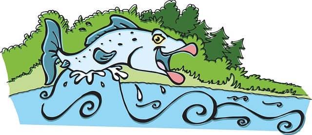 Free atlantic salmon fish jumping illustration