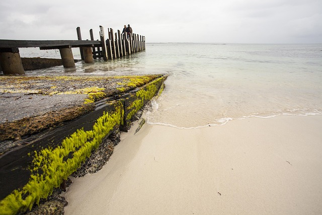 Ozean, Seebrücke, Wasser, Strand