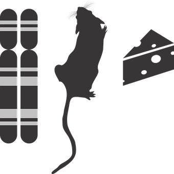 Genotype-Fænotype Miljø-Ikonet, G2P