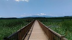 efteni lake nature, golyaka, duzce