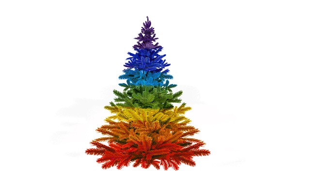 Free Christmas Christmas Tree photo and picture