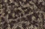 honeycomb, beehive, nature