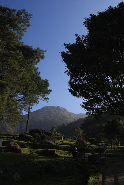 Free Candi Kedongsongo photo and picture