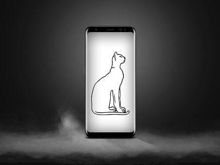 Gato, Telefone, Natureza