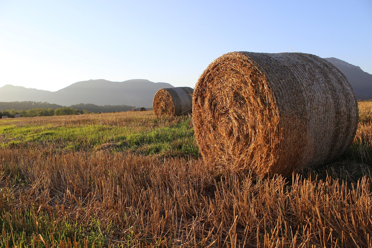 Straw Ssas Pole - Free photo on Pixabay - Pixabay