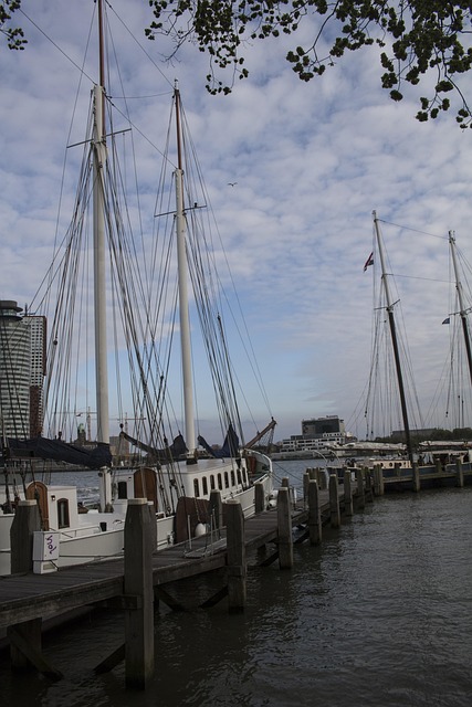 Free Ship Holland photo and picture