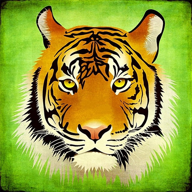 Tiger, Katze, Raubkatze, Tierwelt