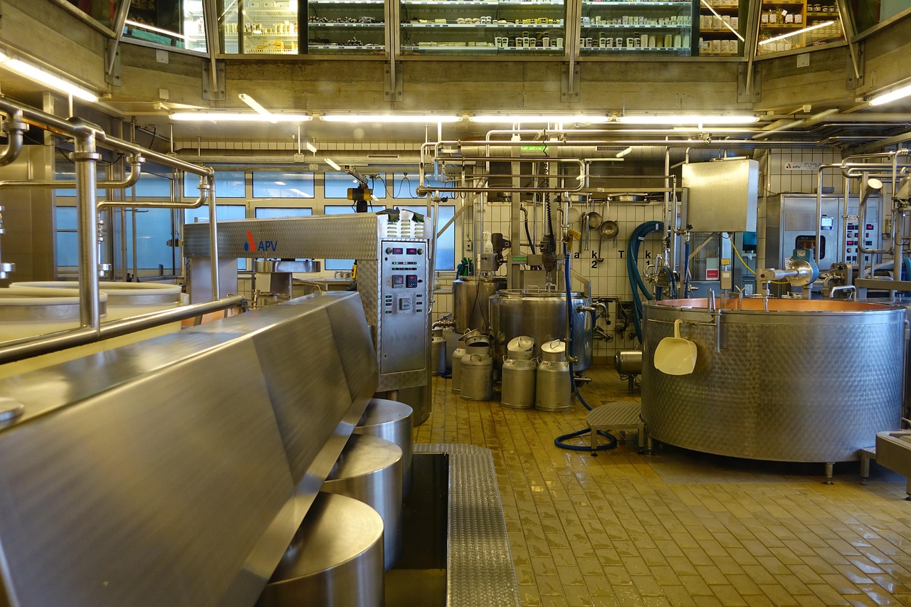 Cheese Factory Making - Free photo on Pixabay