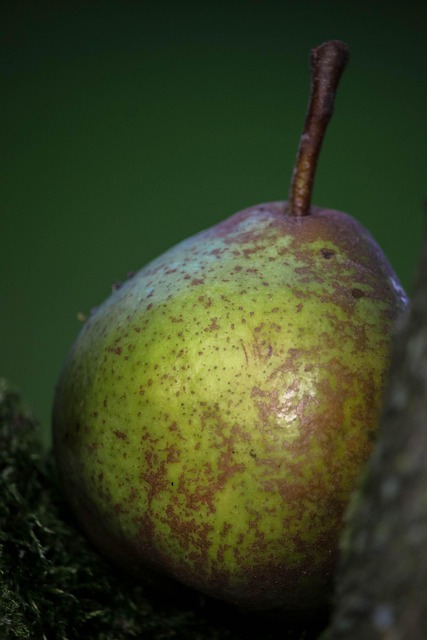 Saftig, Obst, Birne