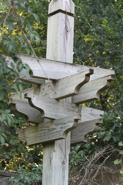 Free Sign Post photo and picture