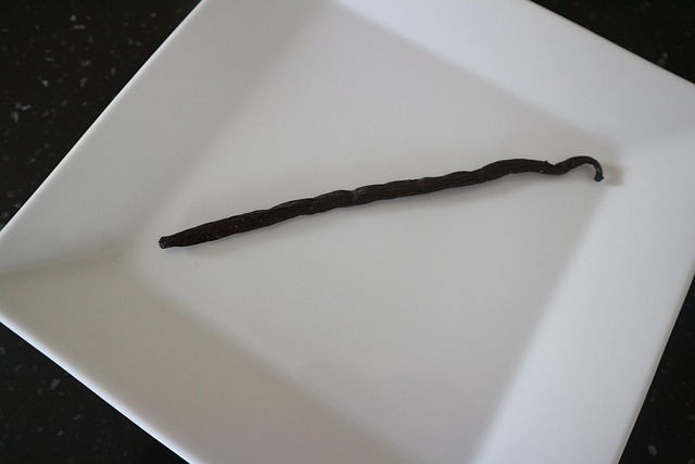 Free Vanilla Vanilla Pod photo and picture