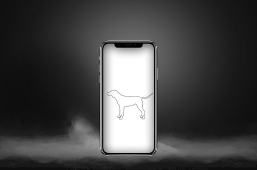 Telefone, Cachorro, Natureza, Animal