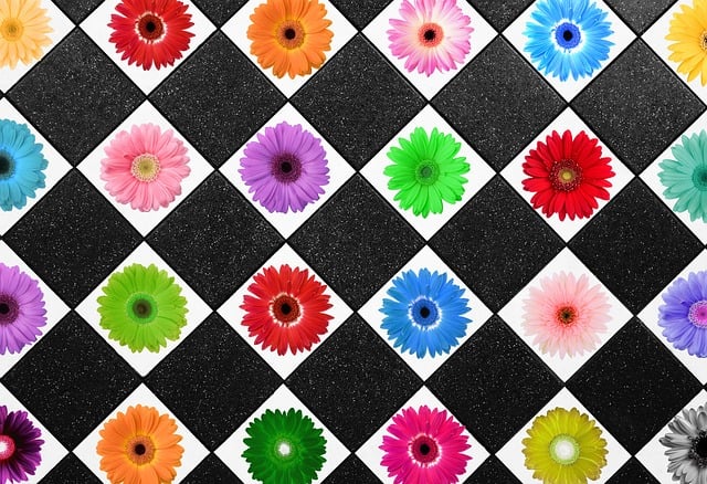 Free daisy diamond geometric illustration