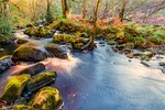 valley of desolation, yorkshire, bolton abbey