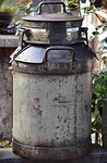 door bell, bell, dingdong