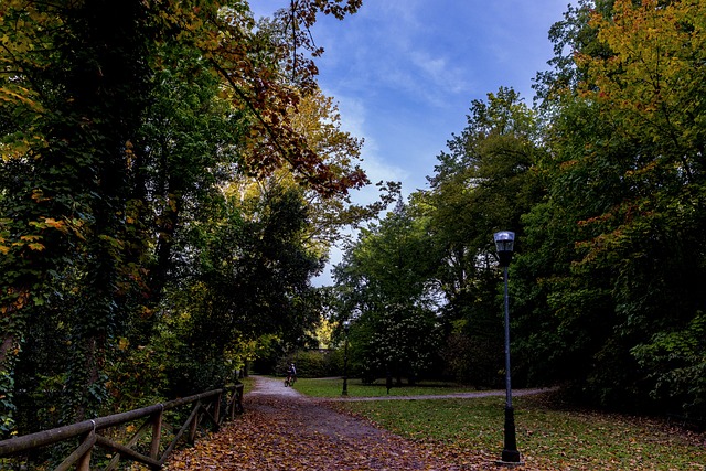 Free Autumn Foliage photo and picture