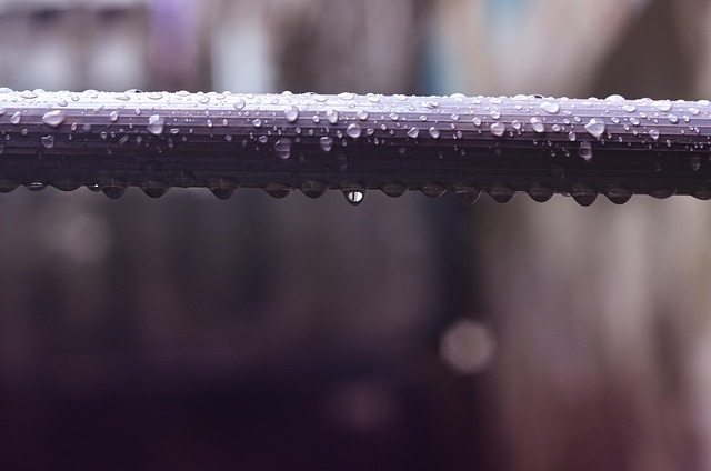 Free Water Rain photo and picture
