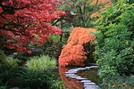 japanese garden, path, trees