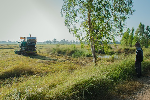 Landwirtschaft, Industrie, Dorf, Ballen