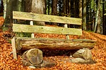 bank, bench, wooden bench