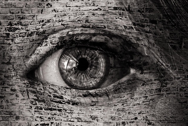 Free Eye Wall photo and picture