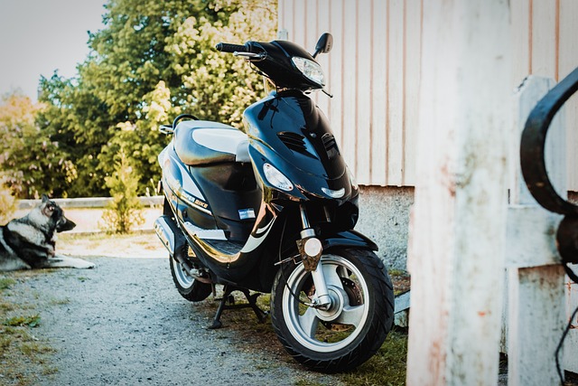 Free Motorbike Nature photo and picture