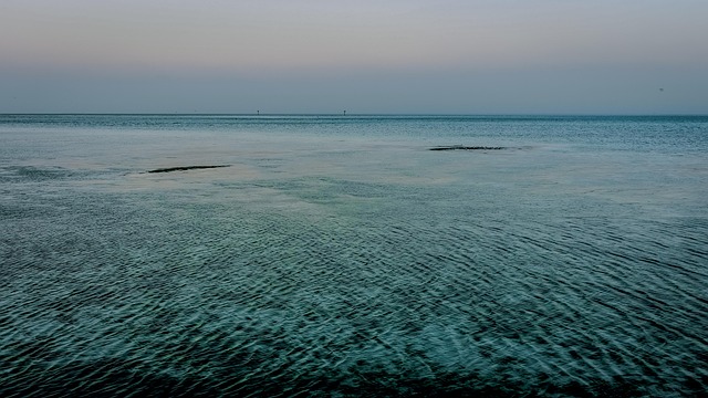 Free Water Sea photo and picture