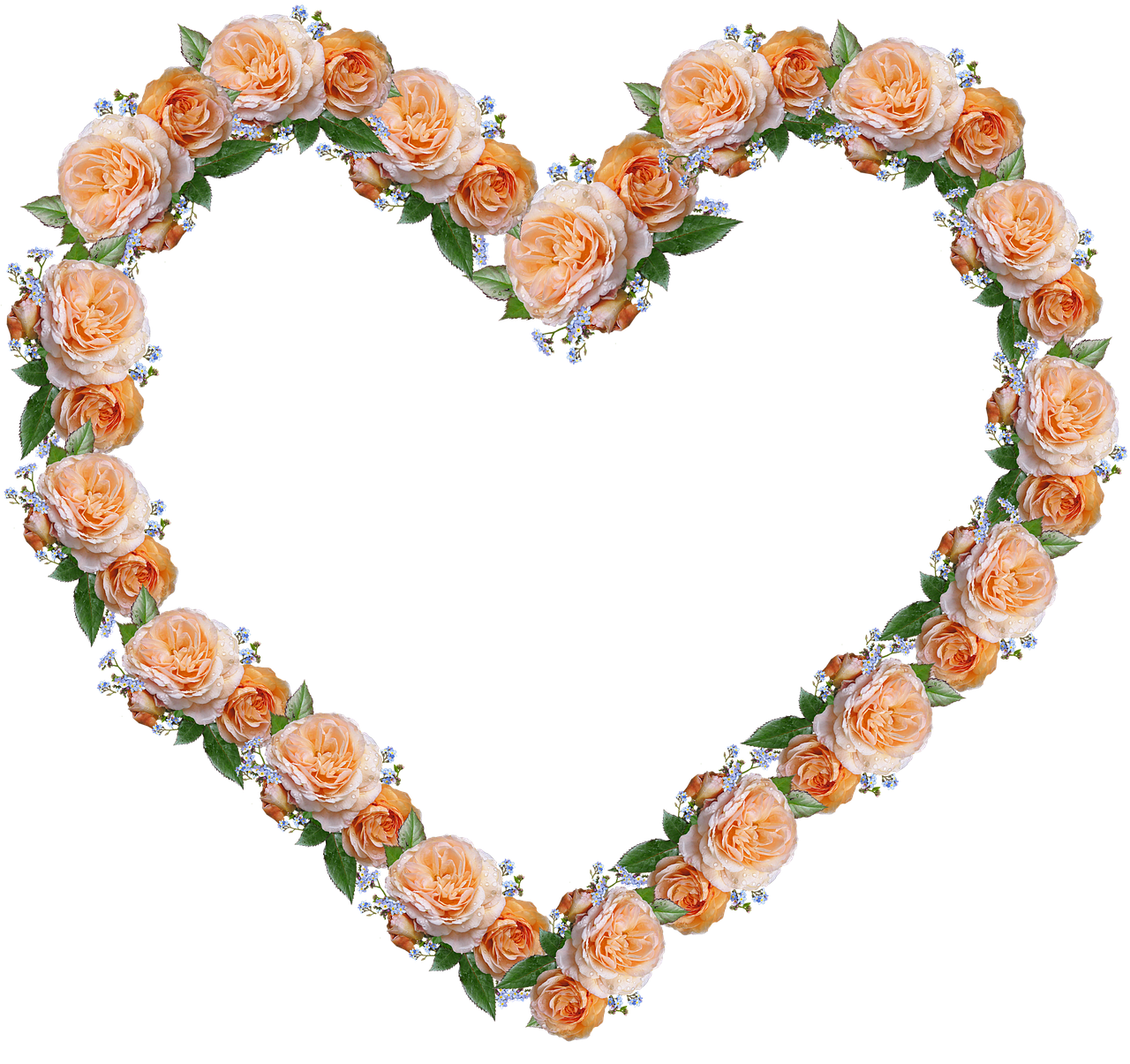 14 beautiful photo results Pixabay
