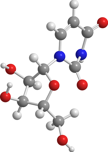 Free Uridine Nucleic Acids illustration and picture