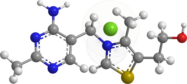 Free thiamine nitrogenous bases organic chemistry illustration