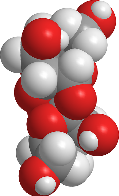 Free Sucrose Disacaridos illustration and picture